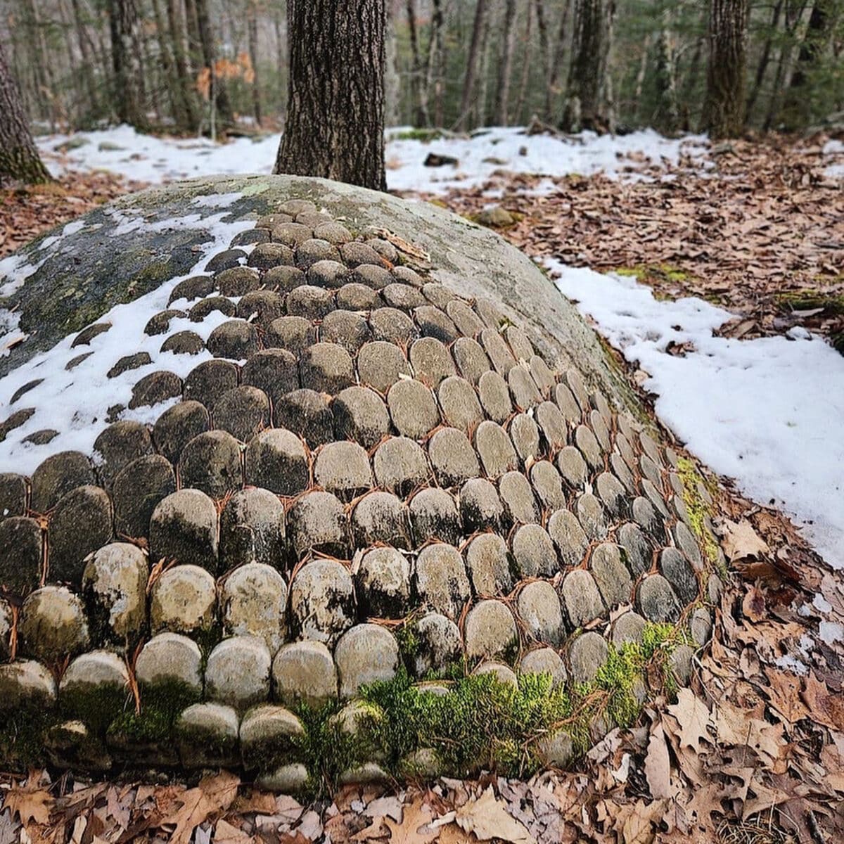 Alameda Post - A sculpture outdoors that is a dome made out of stone or rock that look like scales. 