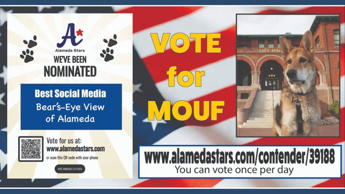 Alameda Post - A graphic with a photo of Mouf that says "Vote for Mouf. We've been nominated. Best Social Media. Bear's Eye View of Alameda." with information on how to vote. 