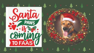 Alameda Post - A photo of Mouf the dog in a santa hat and the words "Santa Paws is coming to Town."