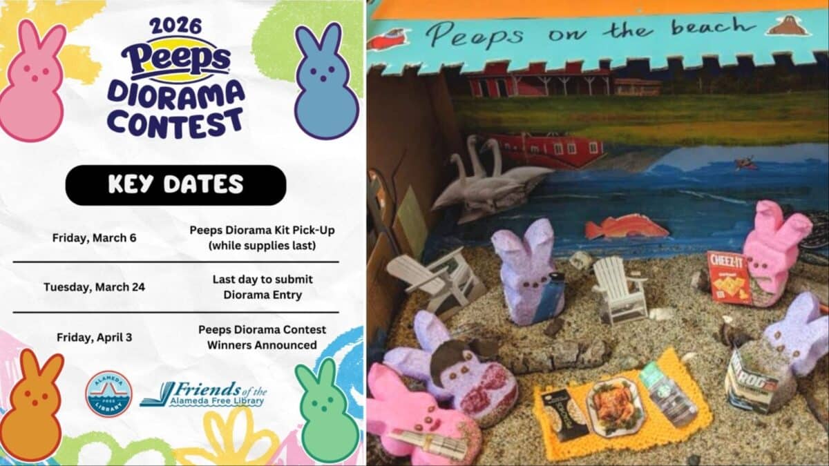Alameda Post - An informational poster for the Peeps diorama contest and a photo of a diorama of peeps at the beach.