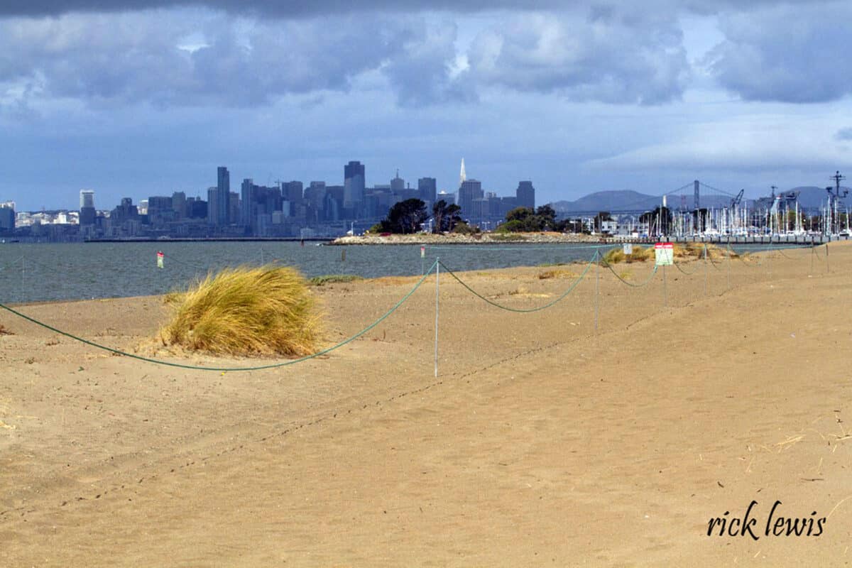 Alameda Post - at the Alameda Beach, with San Francisco and the Bay Bridge in the background, a section of the shoreline is roped off