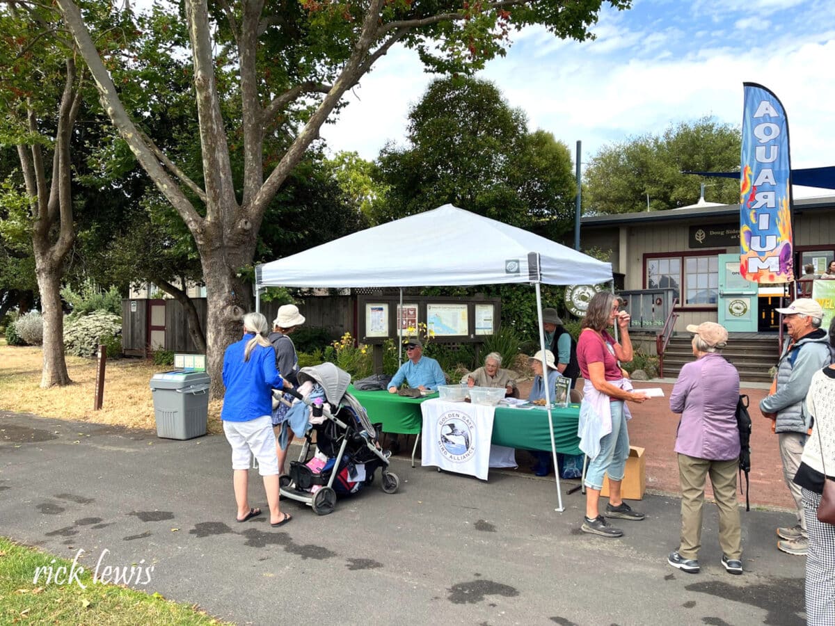 Alameda Post - people chat with Friends of the Alameda Wildlife Reserve representatives at a booth in front of the visitor center at Crab Cove