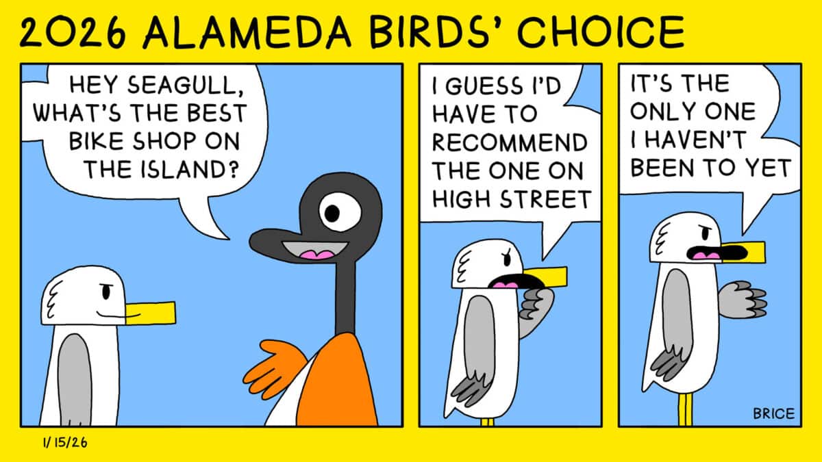 Alameda Post - Two Birds from Alameda for January 15, 2025. Across the top, a heading reads, "2026 Alameda Birds' Choice." First panel: Goose says to Seagull, "Hey seagull, what's the best bike shop on the island?" Second and third panels: Seagull responds, "I guess I'd have to recommend the one on high street. It's the only one I haven't been to yet."