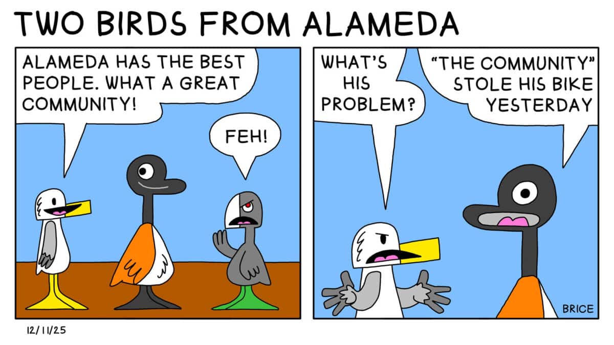 Alameda Post - Two Birds from Alameda for December 11, 2025. First panel: Seagull, Goose, and Old Coot stand and talk. Seagull says, "Alameda has the best people. What a great community!" Old Coot rolls their eyes and says "Feh!" Second Panel: Seagull says, "What's his problem?" to Goose. Goose answers, "'The community' stole his bike yesterday."