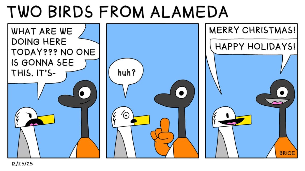 Alameda Post - Two Birds from Alameda for December 25, 2025. First panel: Seagull and Goose stand together. Seagull says, "What are we doing here today? No one is gonna see this. It's..." Second panel: Goose holds up a finger to pause. Seagull says, "Huh?" and they look outside of the comic towards the viewer. Panel 3: Both birds smile and say "Merry Christmas!"