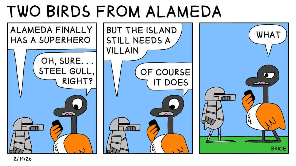 Alameda Post - Two Birds from Alameda for February 19, 2026. First panel: A seagull in a metal suit says to Goose, "Alameda Finally has a superhero." Goose is looking at their phone and says, "Oh, sure... Steel gull, right?" Second panel: The gull says, "But the island still needs a villain." Goose says, "Of course it does." Third panel: Goose looks at the gull with furrowed brows and says "What."