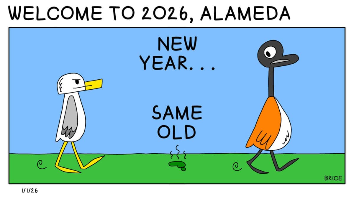 Alameda Post - Two Birds from Alameda for January 1, 2026. Across the top, a banner reads "Welcome to 2026, Alameda!" Single panel: Seagull walks behind Goose across a lawn. Goose looks over their shoulder at a pile of poop. Text says "New year... Same old."