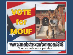 Alameda Post - A graphic with a photo of Mouf that says "Vote for Mouf. We've been nominated. Best Social Media. Bear's Eye View of Alameda." with information on how to vote.