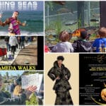 Alameda Post - a collage of photos and posters for upcoming events