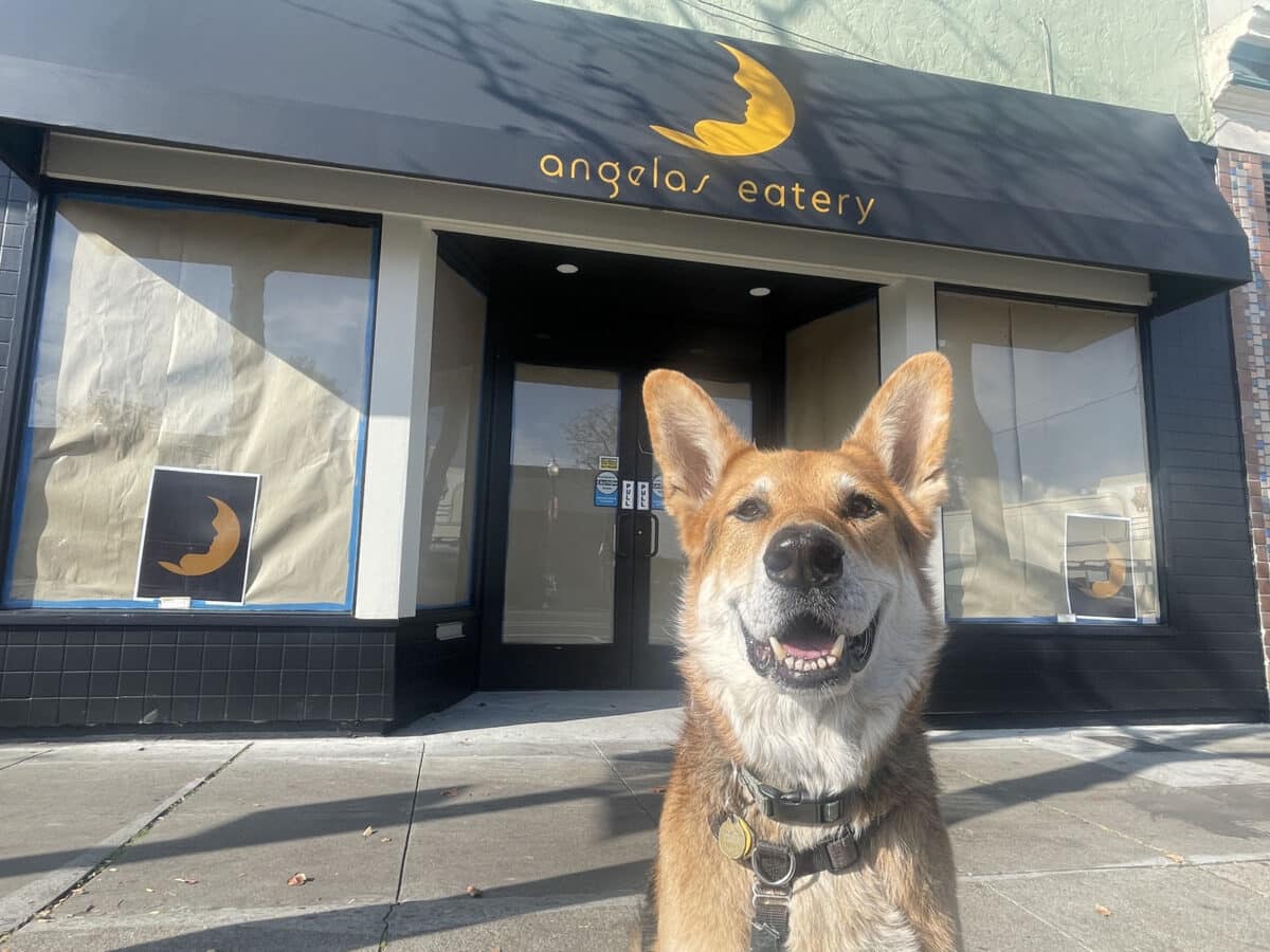 Alameda Post - Mouf the dog sits in front of Angela's Eatery.