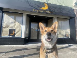 Alameda Post - Mouf the dog sits in front of Angela's Eatery.