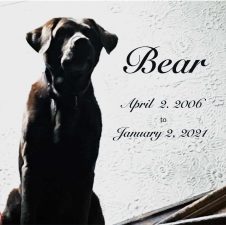 Alameda Post - Bear's-Eye View of Alameda for April 16, 2023 – In Memory of Bear