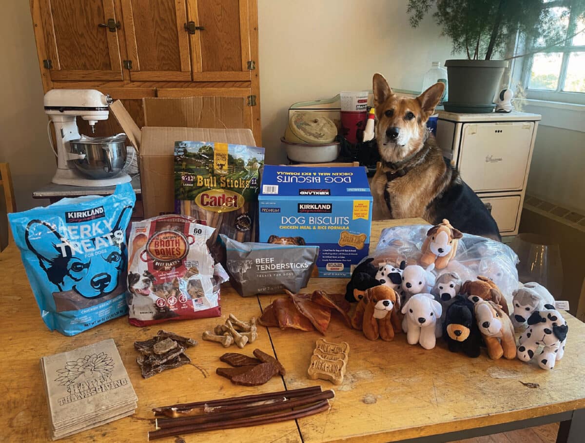 Alameda Post - Mouf sits in front of a table full of goodie bags in the making for shelter pets. 