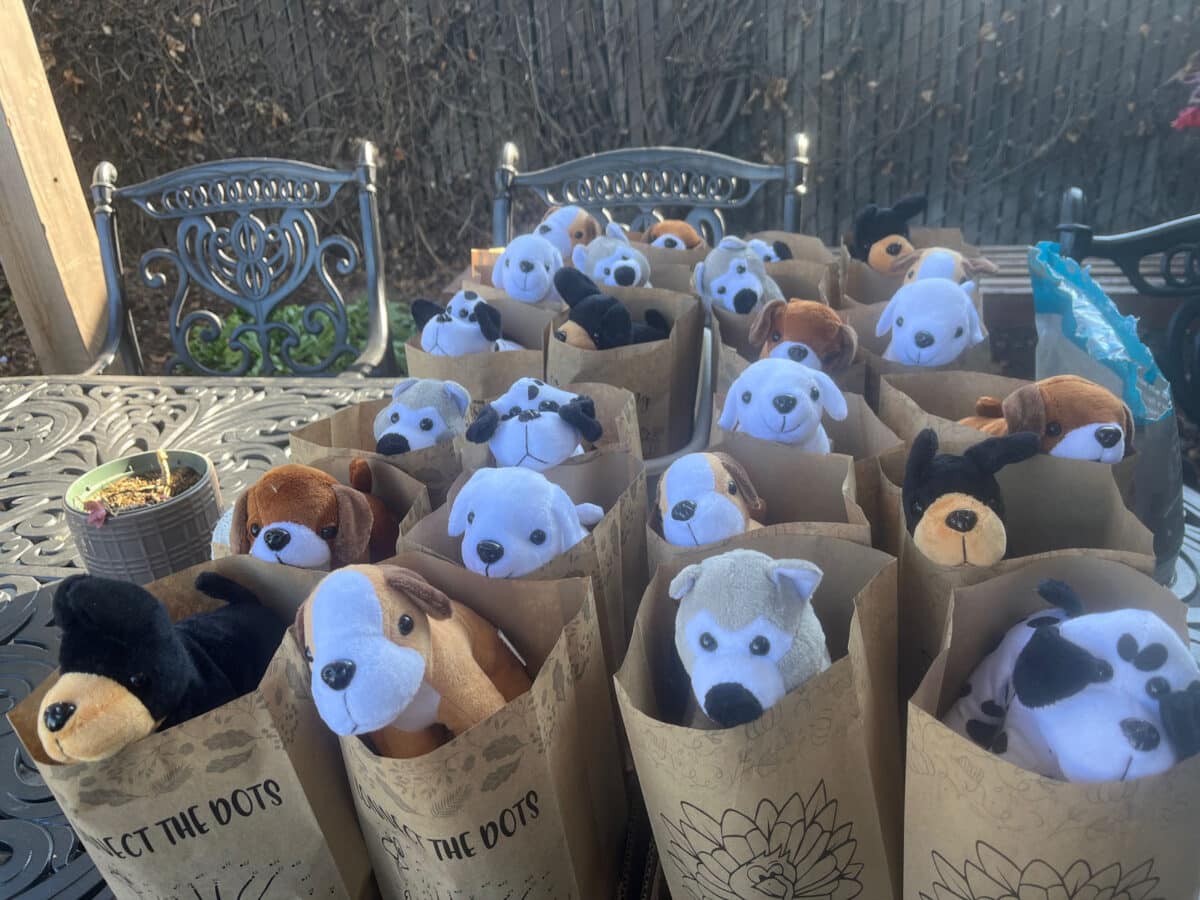 Alameda Post - Goodie bags for shelter pets. 