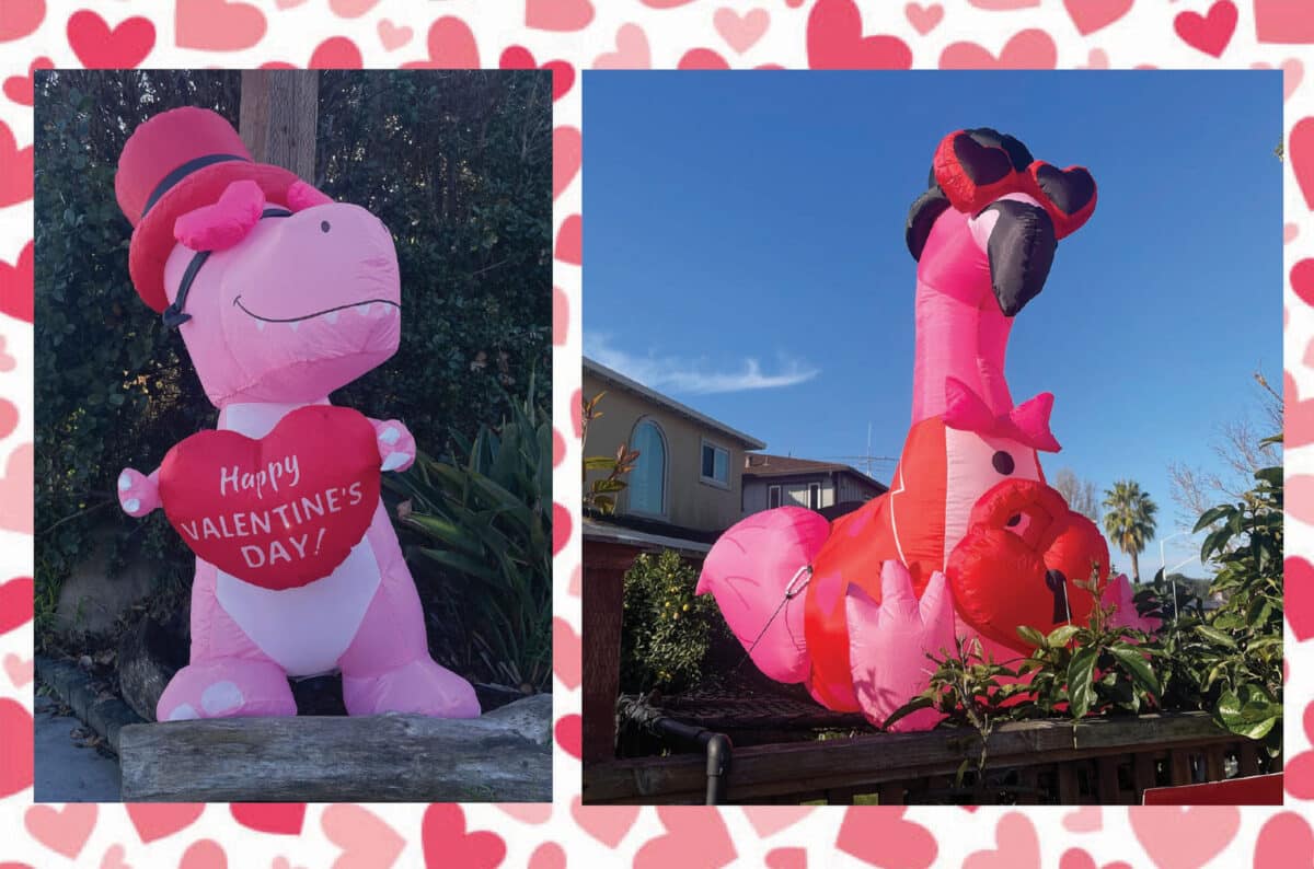 Alameda Post - Blow up lawn decorations for Valentines Day of A T Rex and a flamingo. 