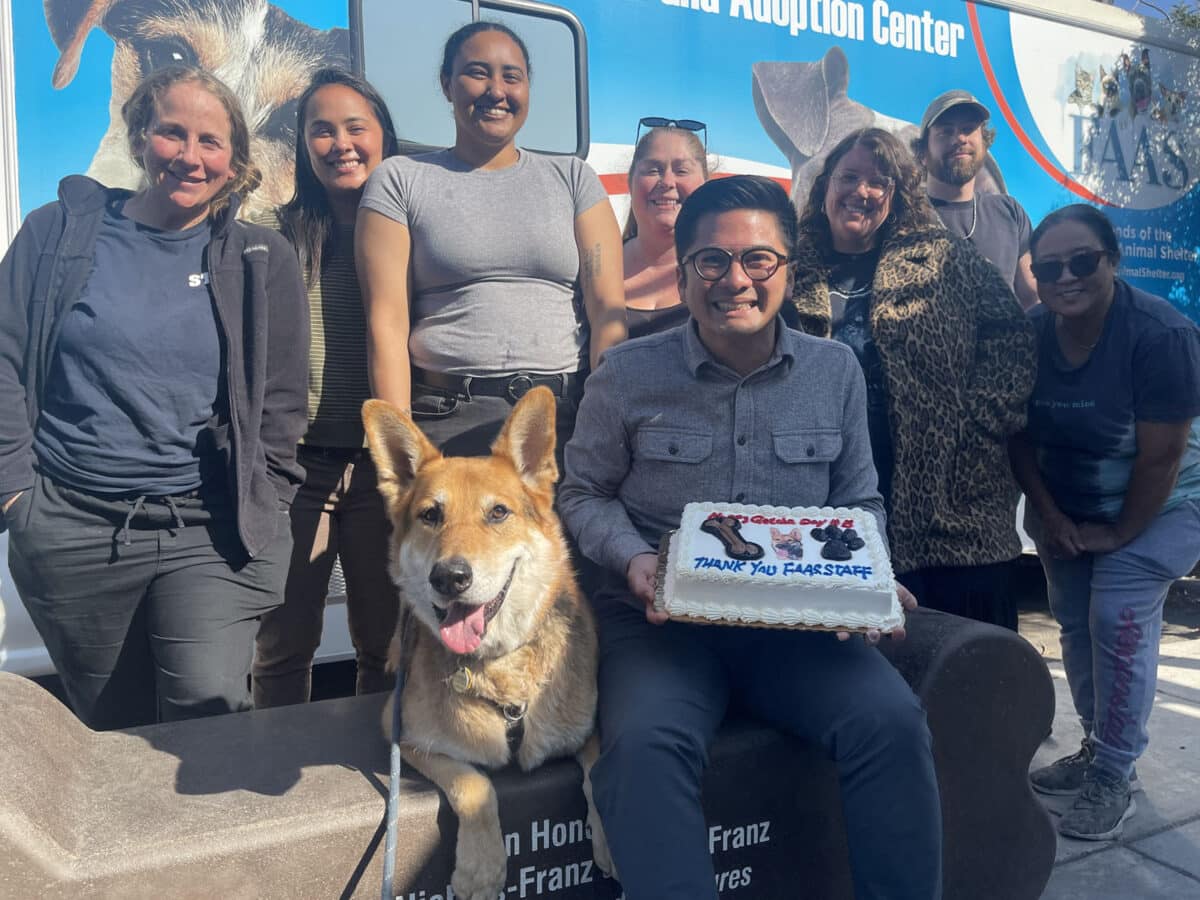 Alameda Post - Mouf the dog sits with staff at the animal shelter as they hold a cake and smile at the camera. 
