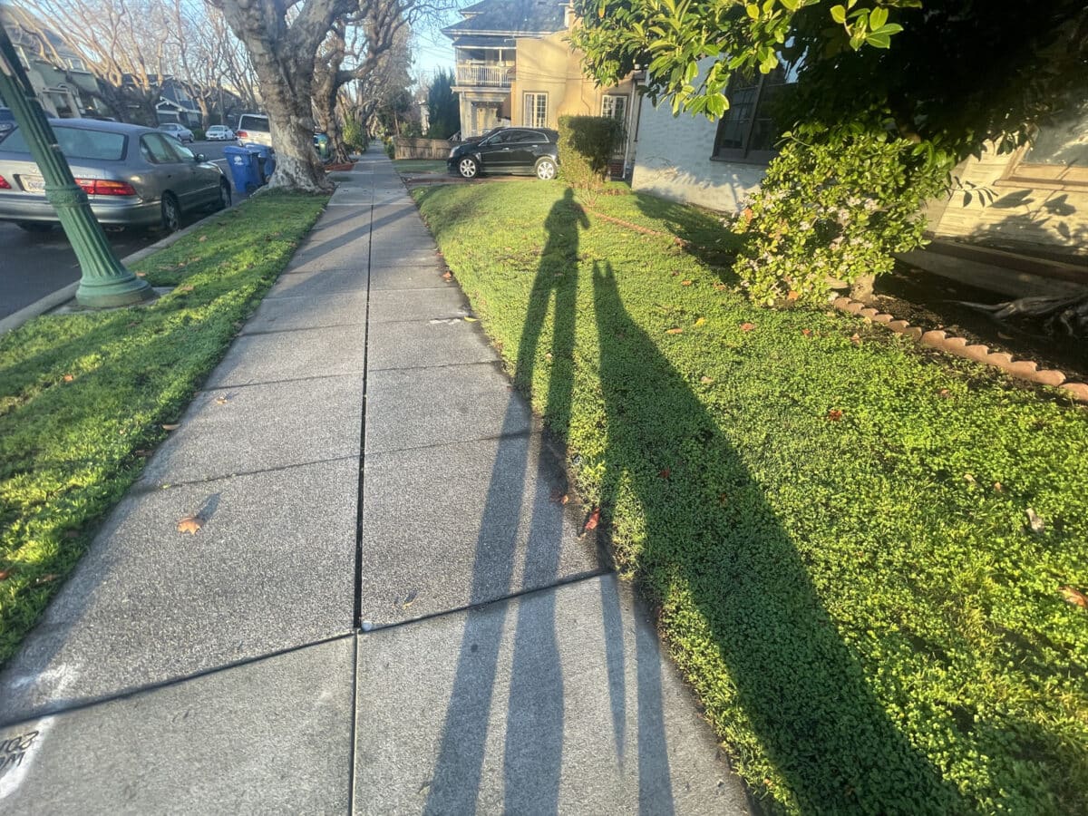 Alameda Post - Long shadows of a human and a dog. 