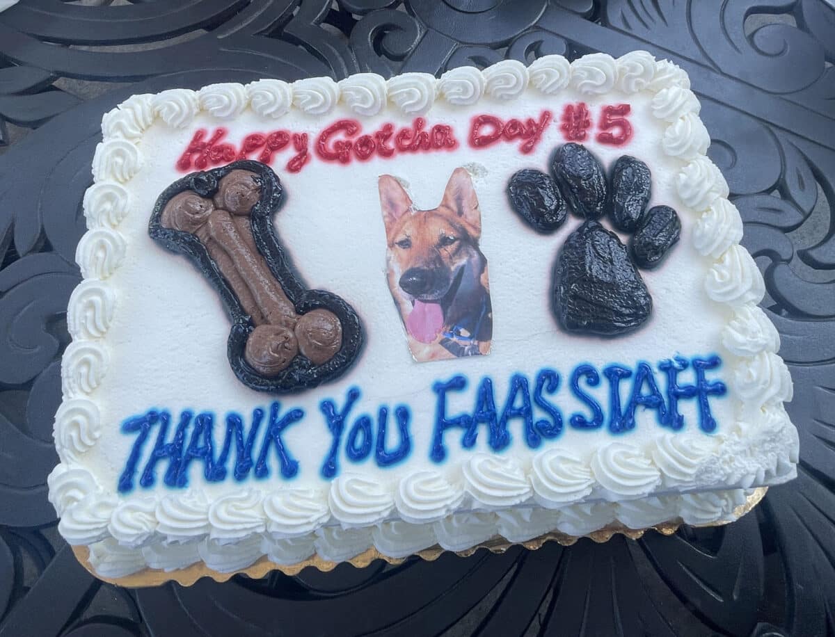 Alameda Post - A cake with Mouf's picture on it that says Happy Gotcha Day #5. Thank you F.A.A.S. staff. 