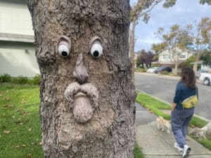 Alameda Post - A tree with a decorative face to look like an old man.