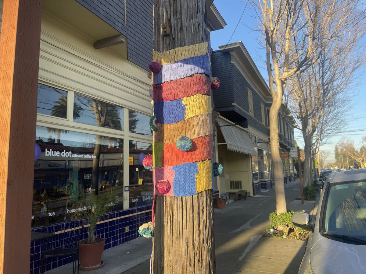 Alameda Post - A telephone pole with colorful knitted material around it.