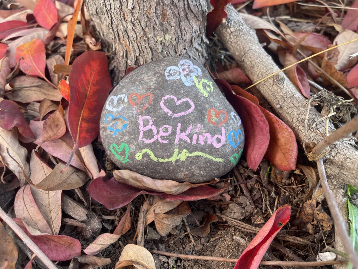 Alameda Post - A rock outside that has been decorated with colorful pigment and says "Be Kind"