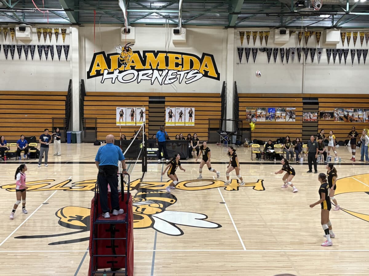 Alameda Post - The Hornets play the Jets at Alameda High School's gymnasium in the Queen of the Island volleyball tournament. 
