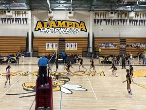 Alameda Post - The Hornets play the Jets at Alameda High School's gymnasium in the Queen of the Island volleyball tournament.