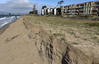Alameda Post - A sheer wall of sand at Alameda's beach.