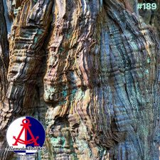 Alameda PostCast episode 189 for January 30, 2026