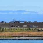 Alameda Point - trucks in the distance carry dirt near the wetlands