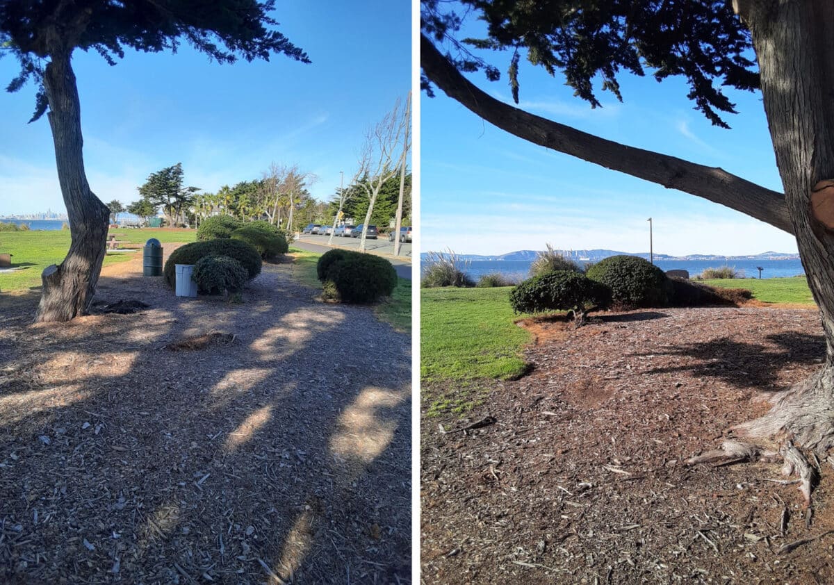 Alameda Post - the walking paths along Bay Farm Island Shoreline