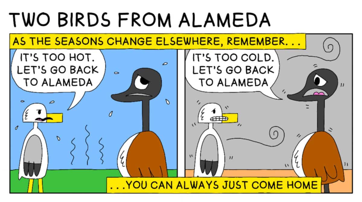 Alameda Post - A two birds from alameda comic strip. 