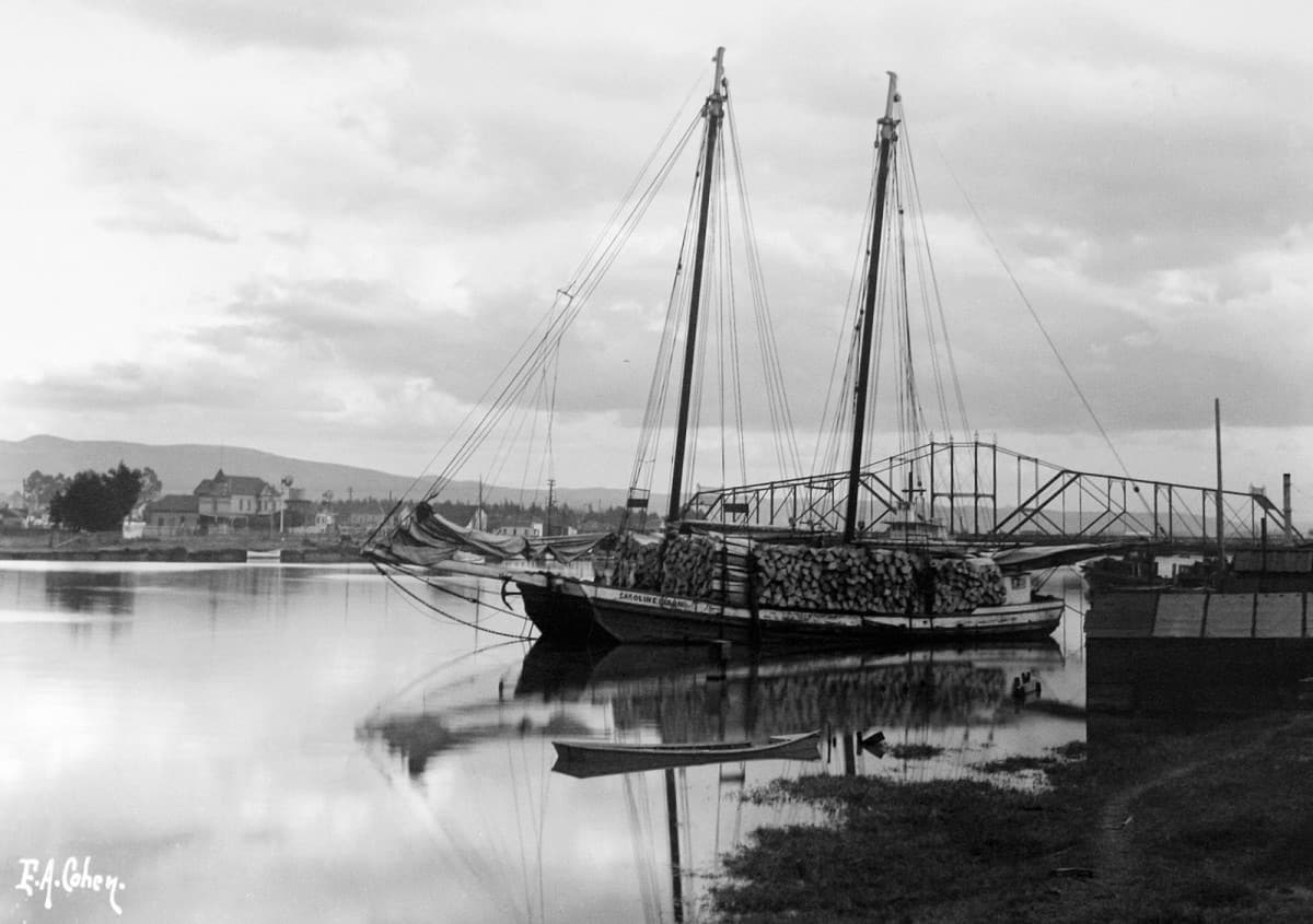 Alameda Post - Caroline Dixon at Park St Bridge