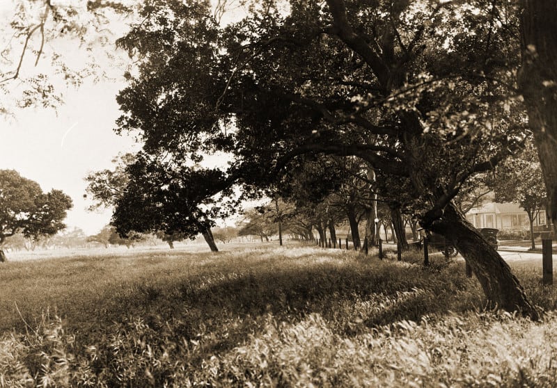 Alameda Post - Cohen Estate 1927