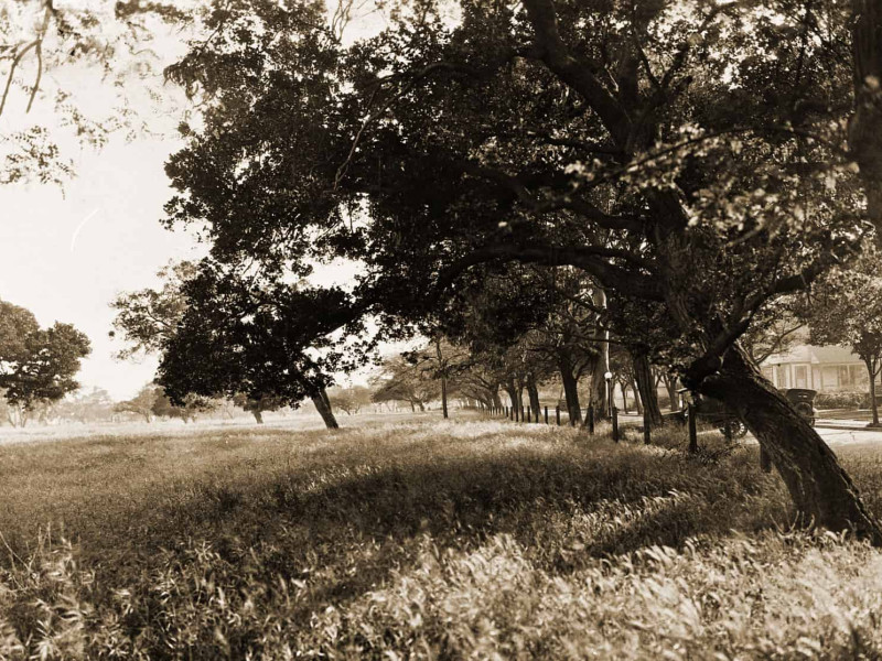 Alameda Post - Cohen Estate 1927