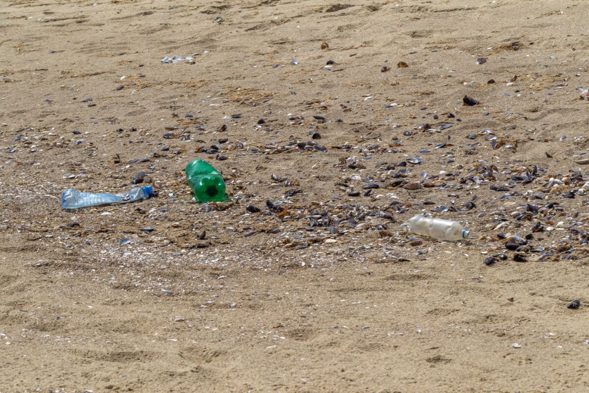 Alameda Post - Trash on the beach.