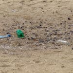 Alameda Post - Trash on the beach.
