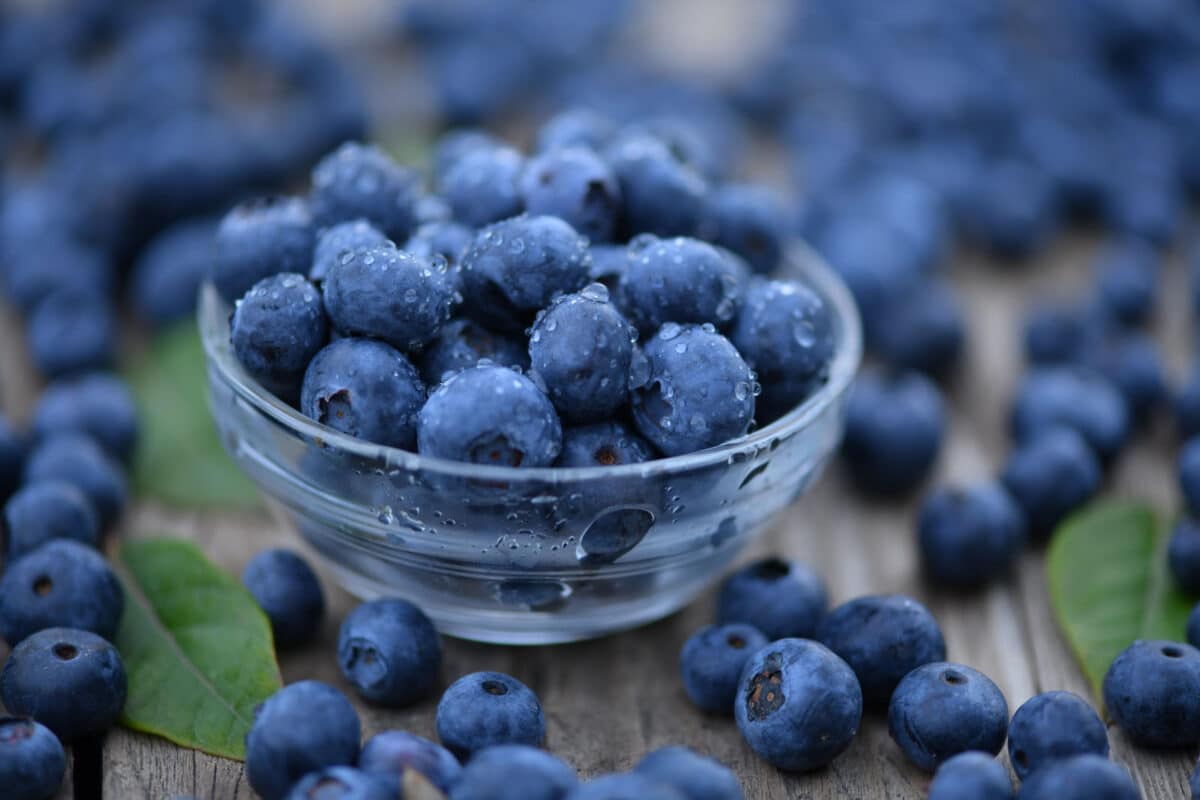 Alameda Post - a small glass bowl of blueberries