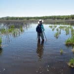 Alameda Post - a hiker wades through deep water at a Clear Lake trail