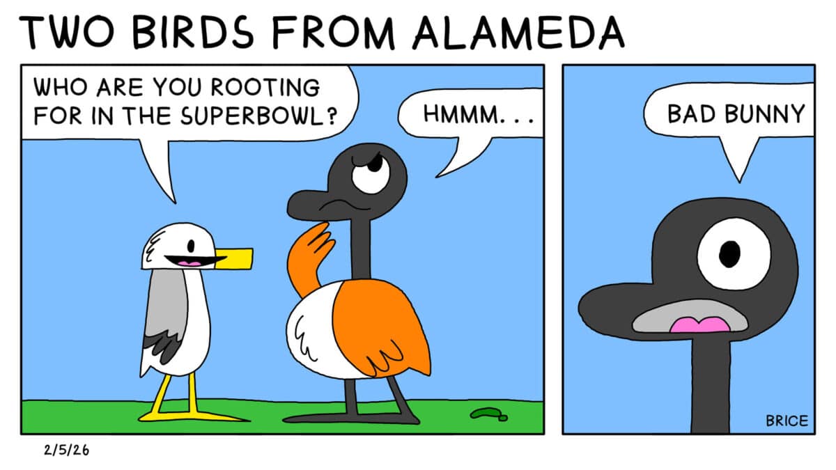 Alameda Post - Two Birds from Alameda for February 5, 2026. Seagull and Goose stand and face each other while talking. Seagull asks, "Who are you rooting for in the Superbowl?" Goose says, "Hmm... Bad Bunny."