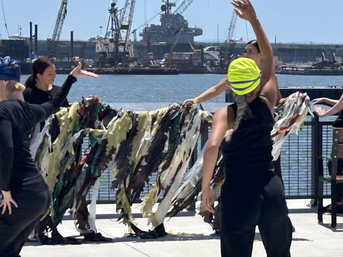 Alameda Post - dancers perform in wetsuits and swim caps at Seaplane Lagoon in Rising Seas