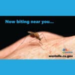 Alameda Post - an image of a mosquito and the words "Now biting near you". The west nile virus awareness is cited from westnile.ca.gov