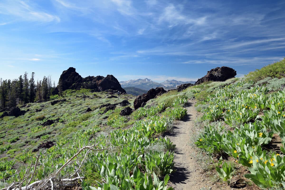 Alameda Post - a hiking trail through an open grassy area