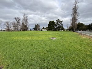 Alameda Post - a large open grassy area