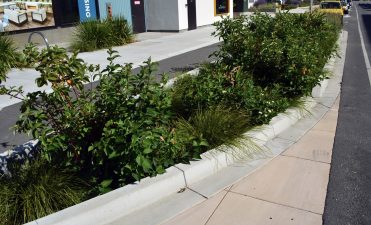Alameda Post - a bioretention area with a deep trough for plants and soil