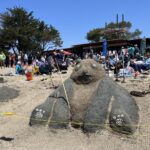 Alameda Post - A panda made of sand.