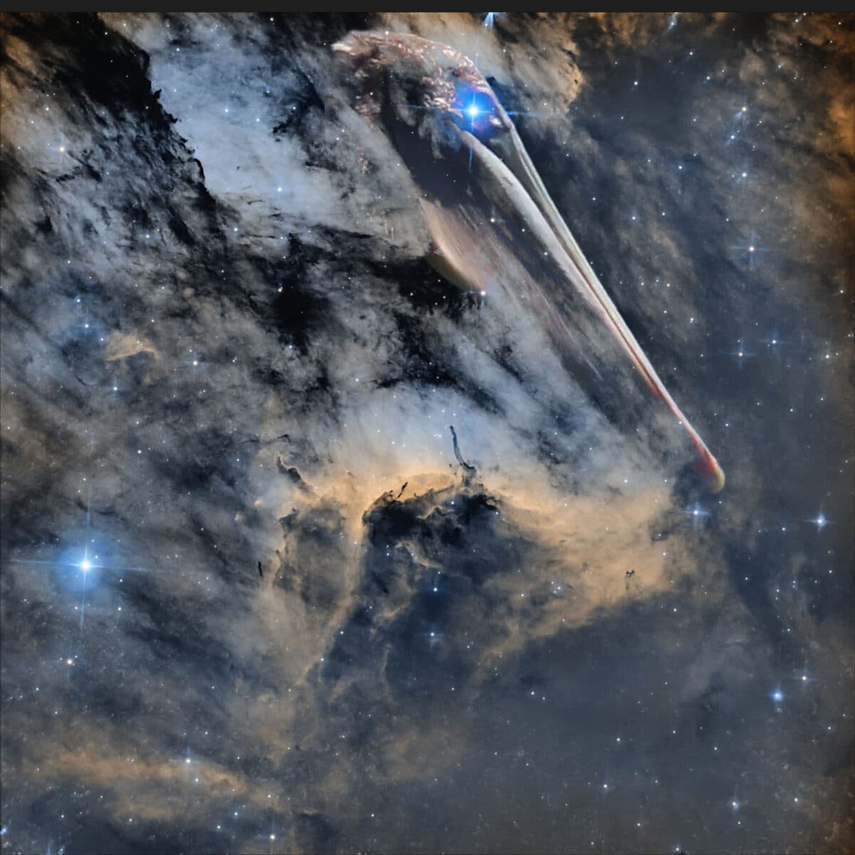 Alameda Post - The Pelican Nebula combined with a photo of a pelican to show why the nebula gets that name, and which stars make up the bird.