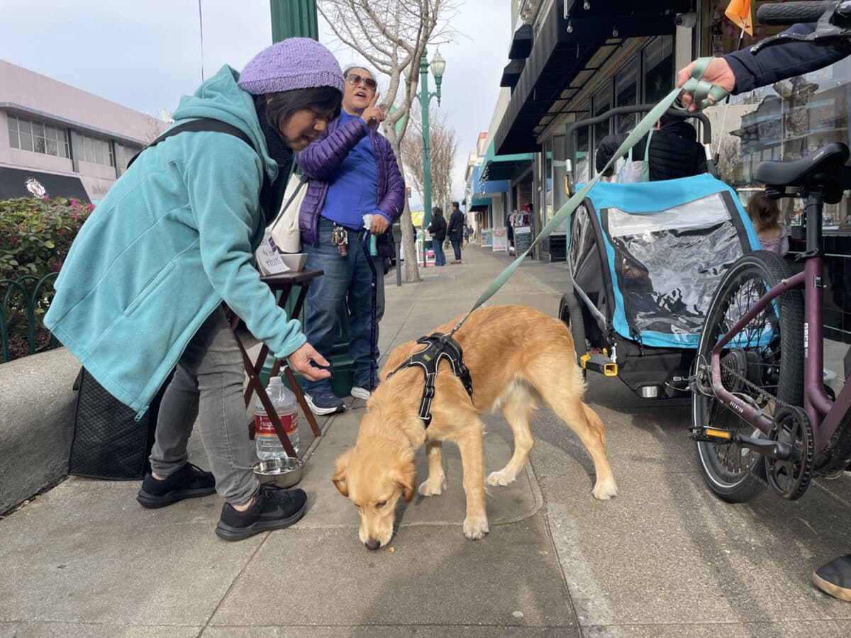 Alameda Post - A woman gives a treat to a dog.