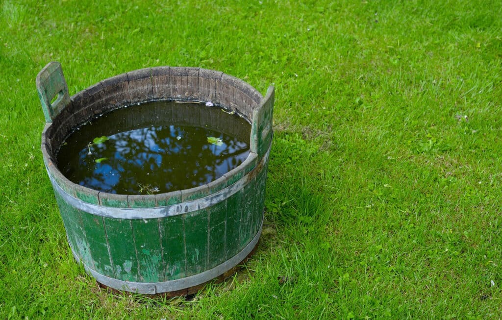 Alameda Post - a bucket of standing water
