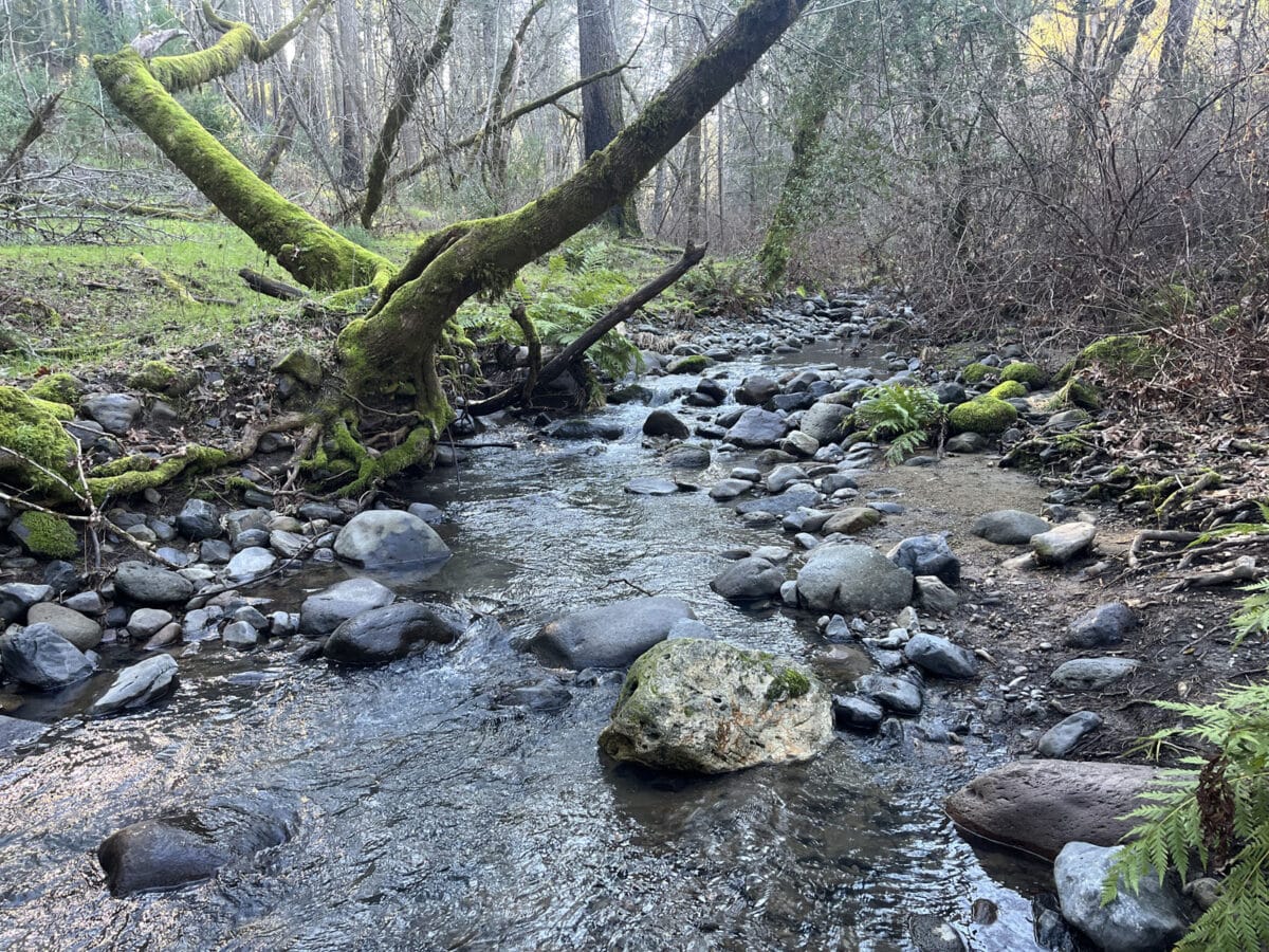 Alameda post - A creek. 
